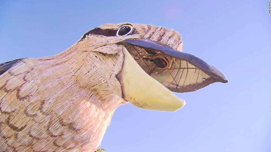 A giant kookaburra statue brings joy - and lots of laughter - to an Australian city
