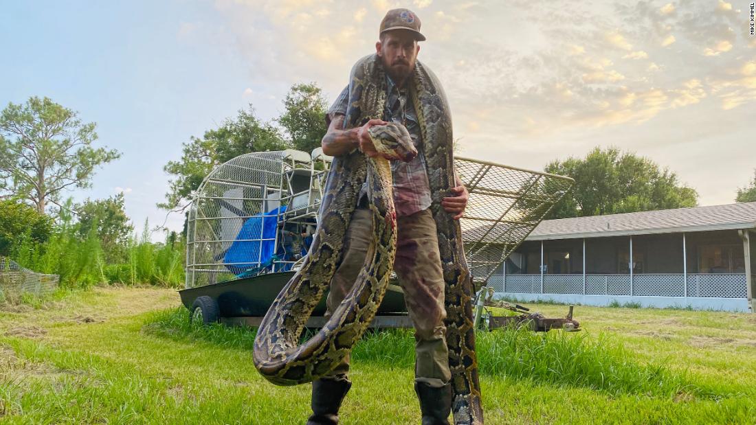 Mike Kimmel with the 17-foot python he caught draped around his neck.