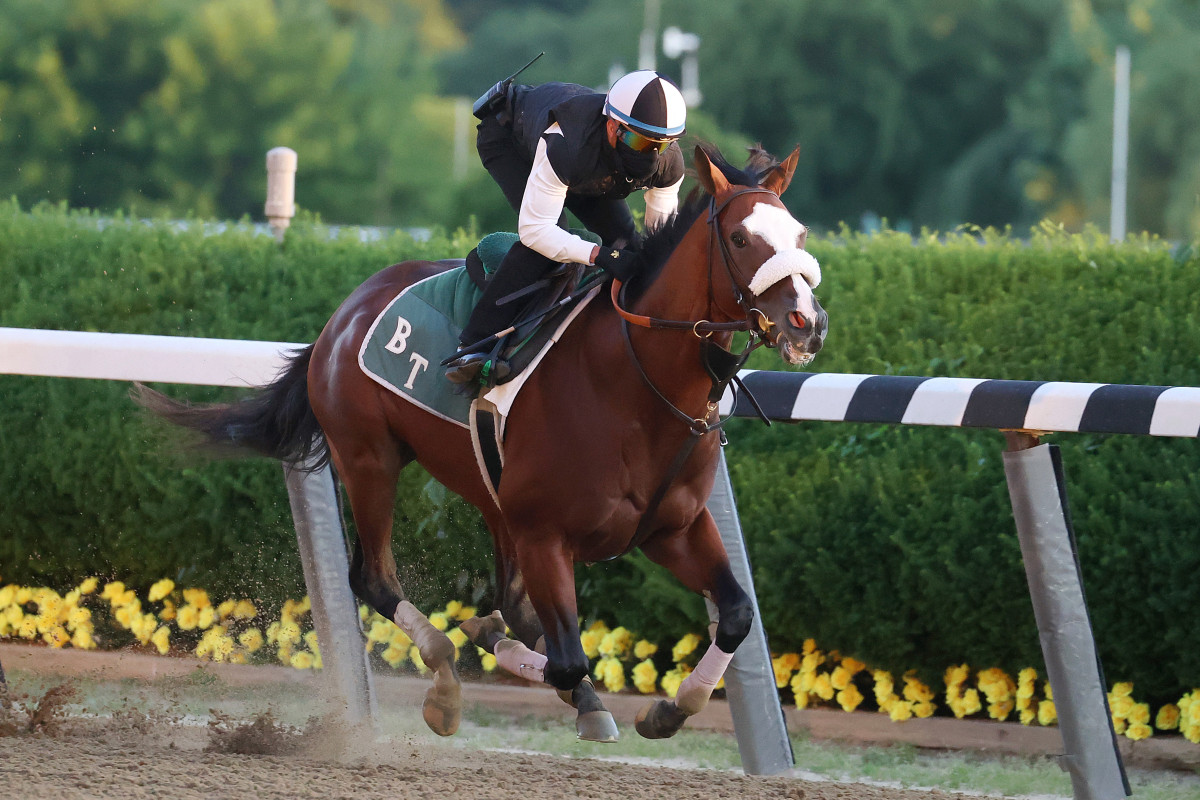 Belmont Stakes gives horse racing its moment as only game in town