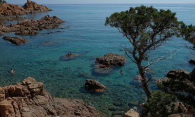 5 American tourists refuse to enter Sardinia, according to new EU rules