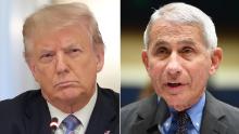 White House takes aim at Fauci as he disagrees with Trump on virus