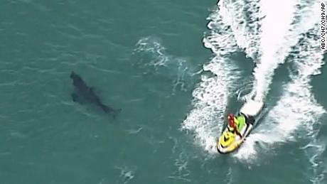 In the picture made from this aerial video, jet ski passes a shark swimming along the coast of Kingscliff, New South Whales, Australia, Sunday, June 7, 2020. 