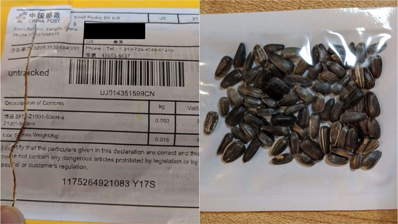 Mystery seeds now arriving in Texas mailboxes: report