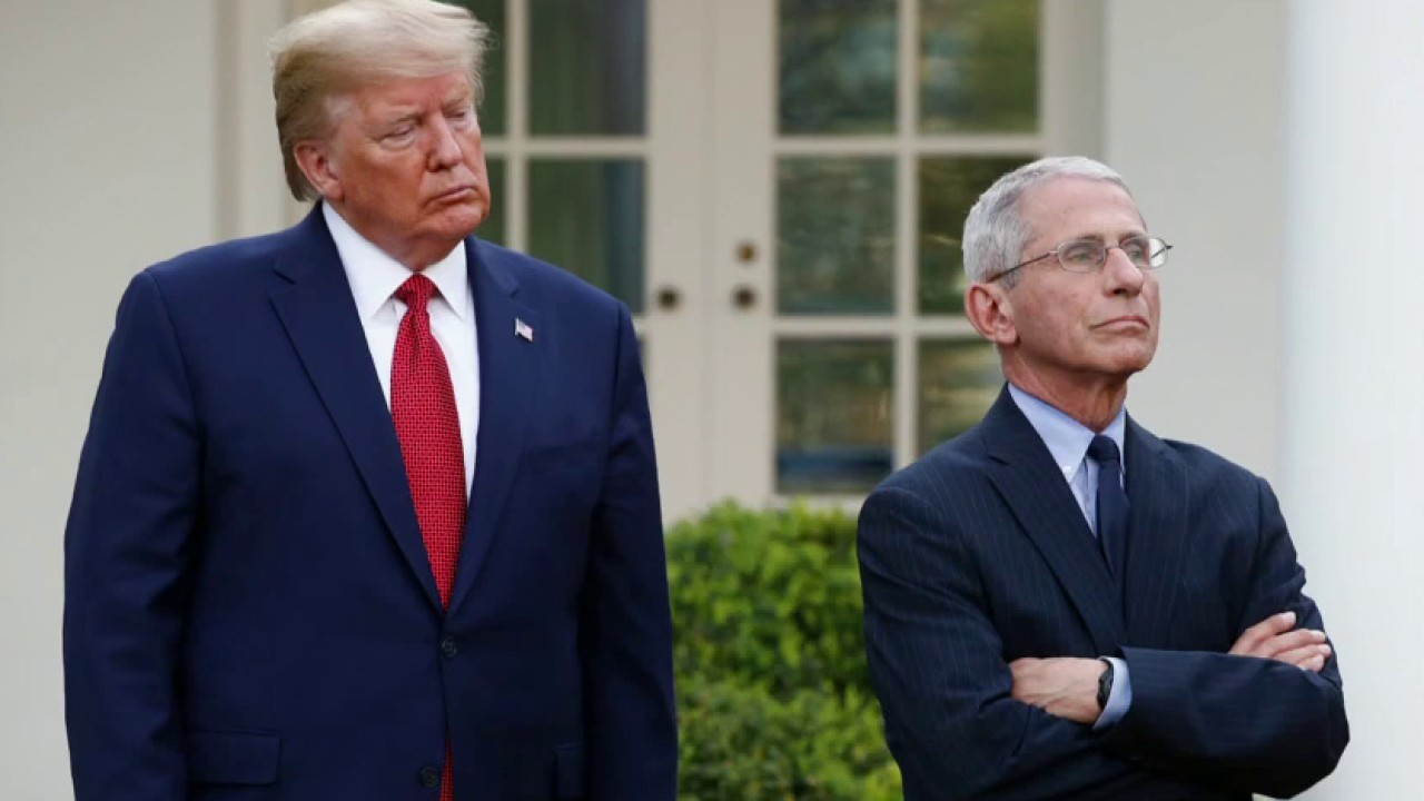 Trump says he has 'very good relationship' with Fauci after White House official criticizes doctor