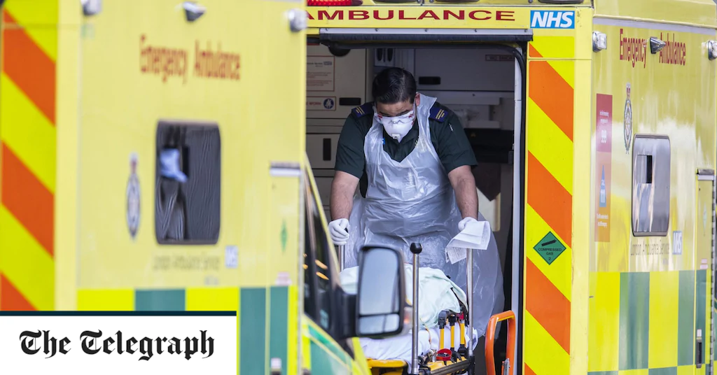 Coronavirus hospital admissions inflated at height of pandemic, investigation finds