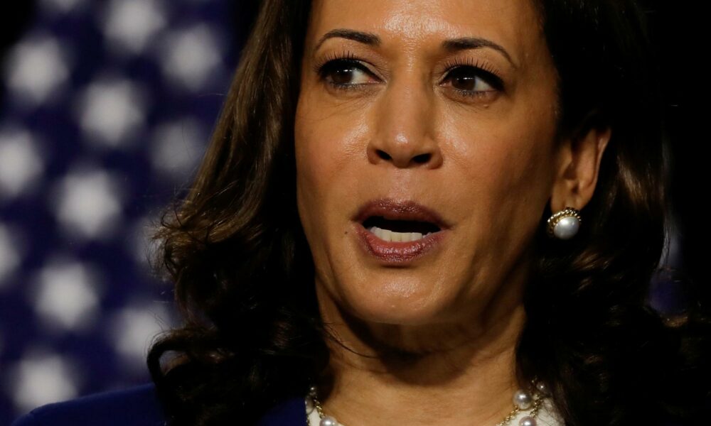 Kamala Harris responds after Trump promotes racist birther conspiracy: 'They're going to engage in lies'