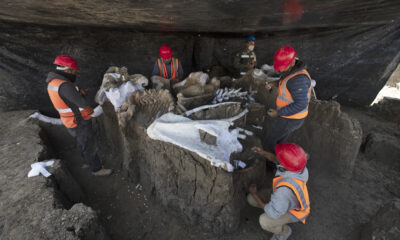 'Central mammoth' found at Mexico airport construction site