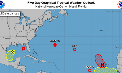 Sally of Tropical Storms Heads Towards the Gulf Coast as Bermuda Prepares for Hurricane Paulette: NPR