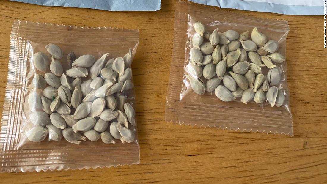 Amazon Bans Sale of Foreign Seeds in US After Households Send Mysterious Parcels