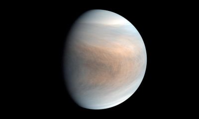Astronomers have found possible signs of life on Venus