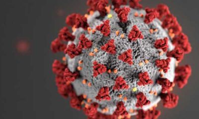 DHEC Releases Latest Coronavirus Data For September 14th