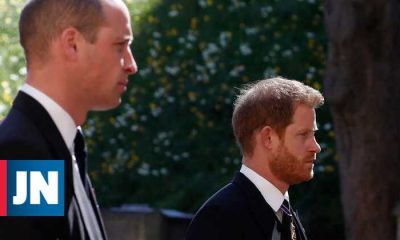 William and Harry criticize interview with Princess Diana