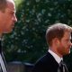 William and Harry criticize interview with Princess Diana