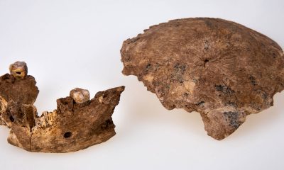 Fossils of mysterious archaic people found in Israel