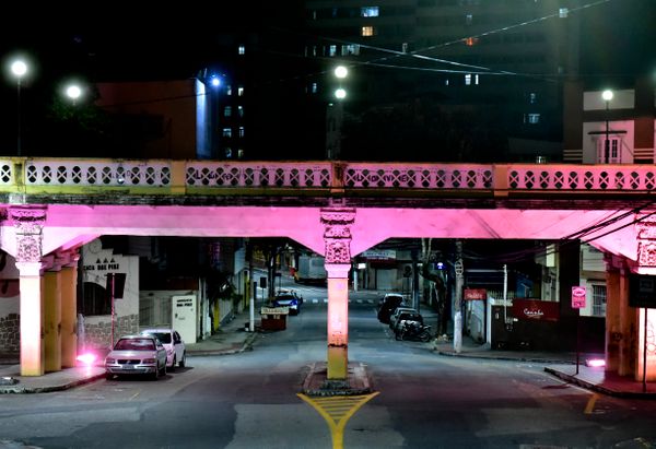 Pink October at Karamuru Viaduct 