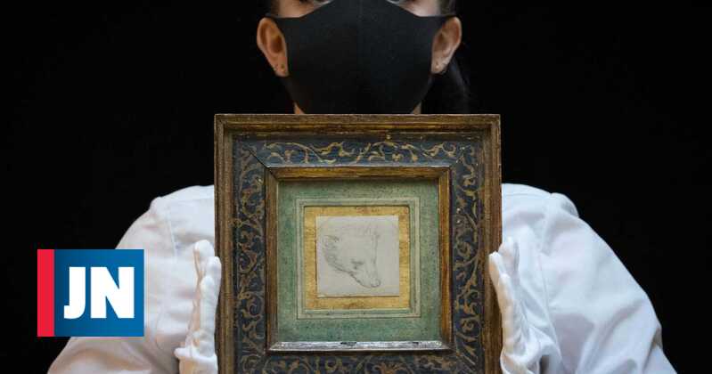 Drawing by Leonardo da Vinci sold for a record 10 million euros