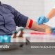 The Portuguese Institute of Blood and Transplantation urges the population to donate blood before the holiday »Famatv