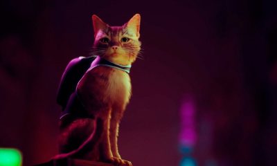 Stray: the game that puts you in a cat's skin, wins gameplay and comes out in 2022