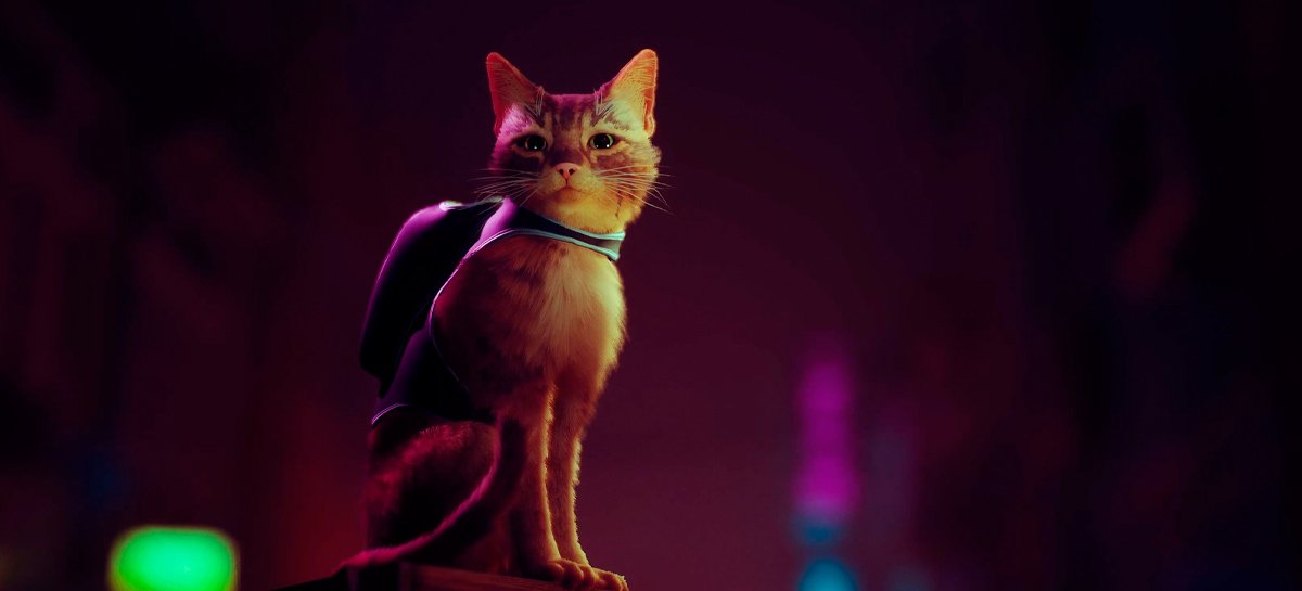 Stray: the game that puts you in a cat's skin, wins gameplay and comes out in 2022