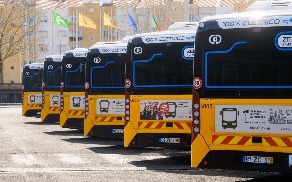 Buses to Lisbon - the largest government contract ever - O Jornal Económico