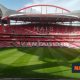 CMVM suspends SAD do Benfica and sees signs of violations