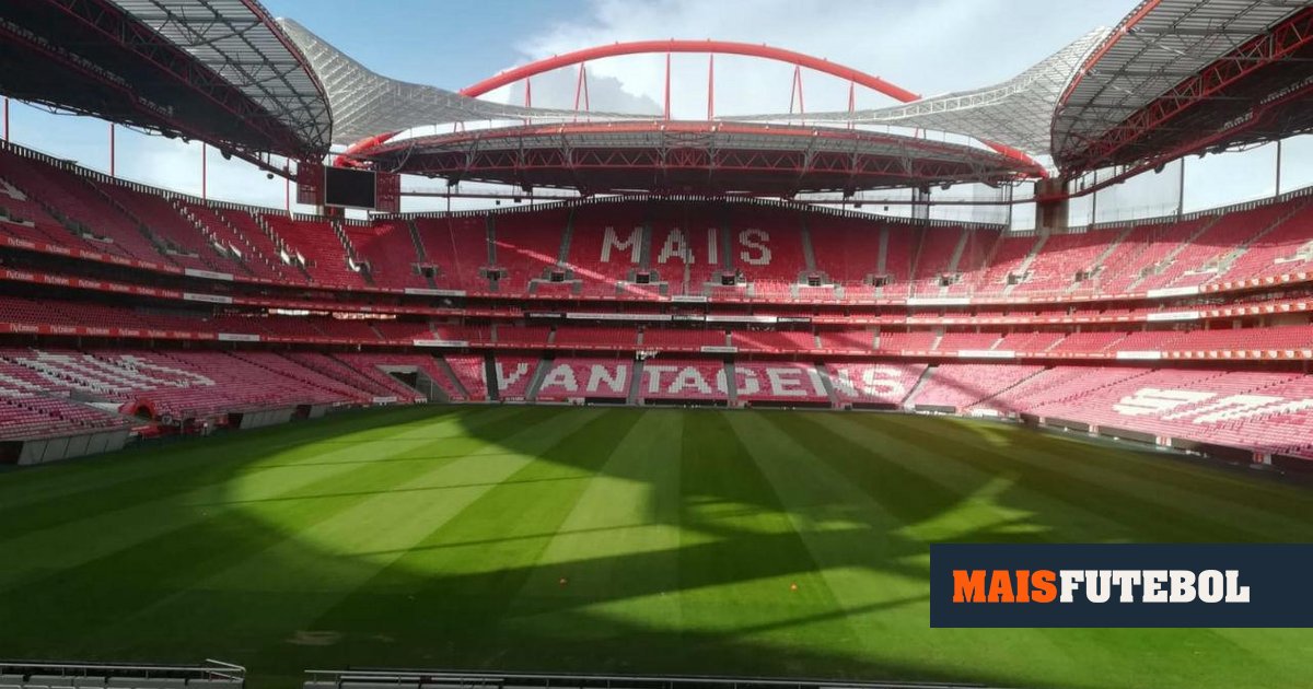 CMVM suspends SAD do Benfica and sees signs of violations