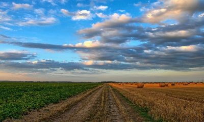 Portuguese environmentalists argue that the General Agricultural Policy Plan does not promote more sustainable agriculture.