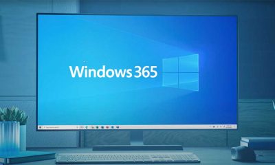 Windows 365 passwords falha segurança sistema
