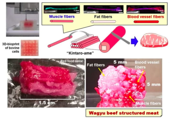 Image of the 3D printing process of wagyu meat