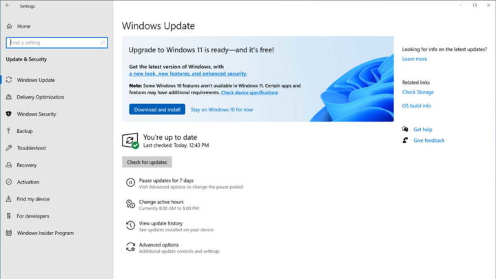 Windows 11 build version Microsoft Insiders