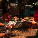 Far Cry 6: PETA Asks To Remove Cockfight Minigame From Game