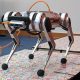 Massachusetts Institute of Technology created a "cheetah robot" and taught it to jump