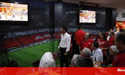 Rui Costa was injured watching Benfica win the Volleyball Super Cup and even interrupted his performance - Benfica