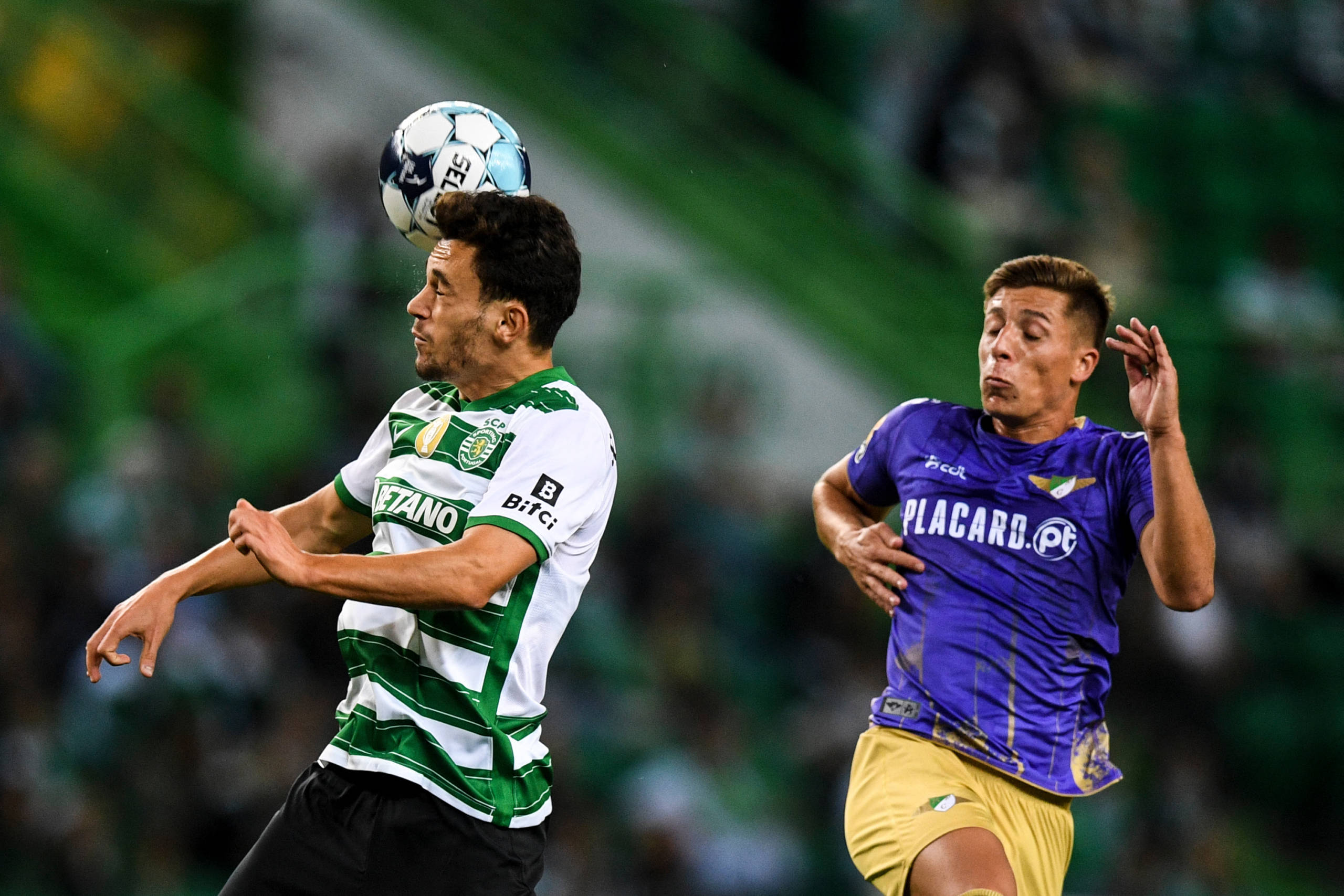 Sporting Lisbon defeats Moreirense at the Portuguese Championship;  Porto leader defeats Tondela in comeback