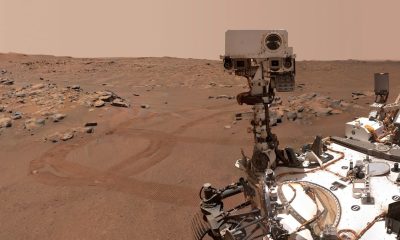 Imagem do rover da NASA em Marte à procura de fósseis de vida antiga
