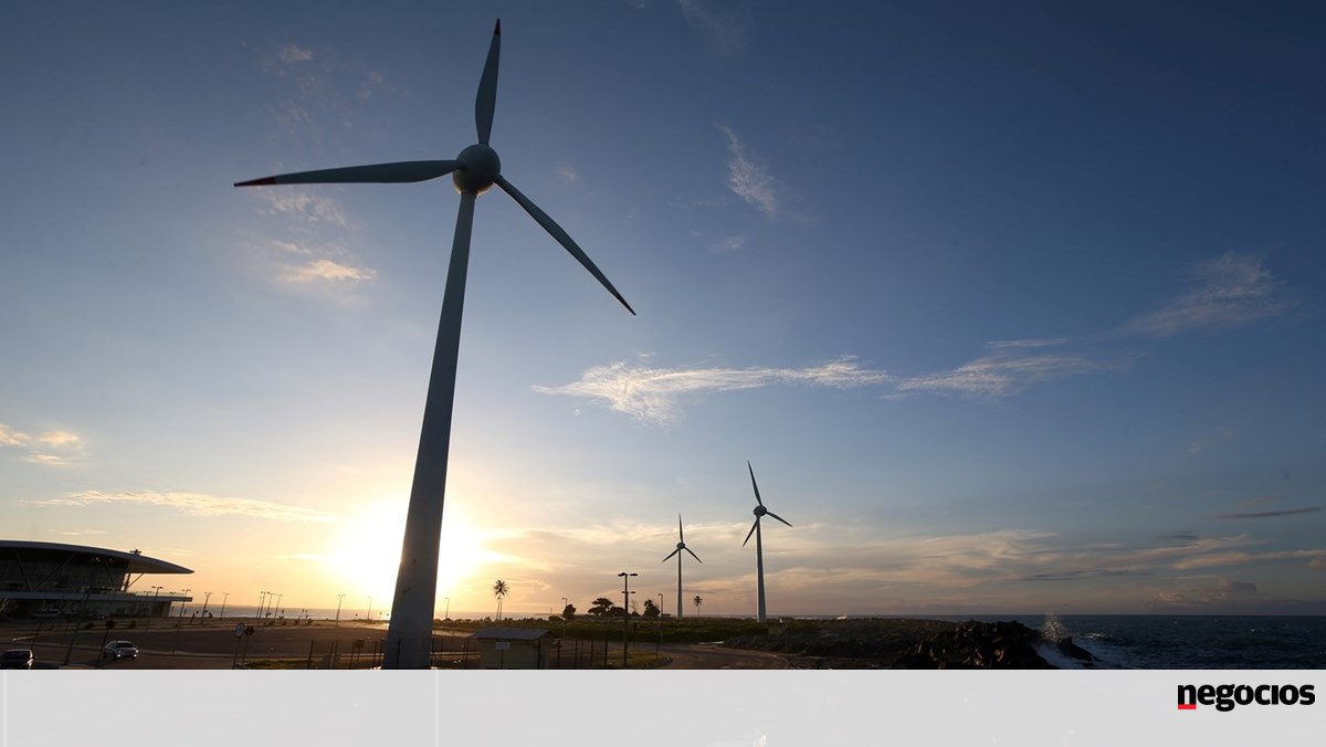 Installed renewable energy capacity to grow by 5.2% in 2021 - Energy