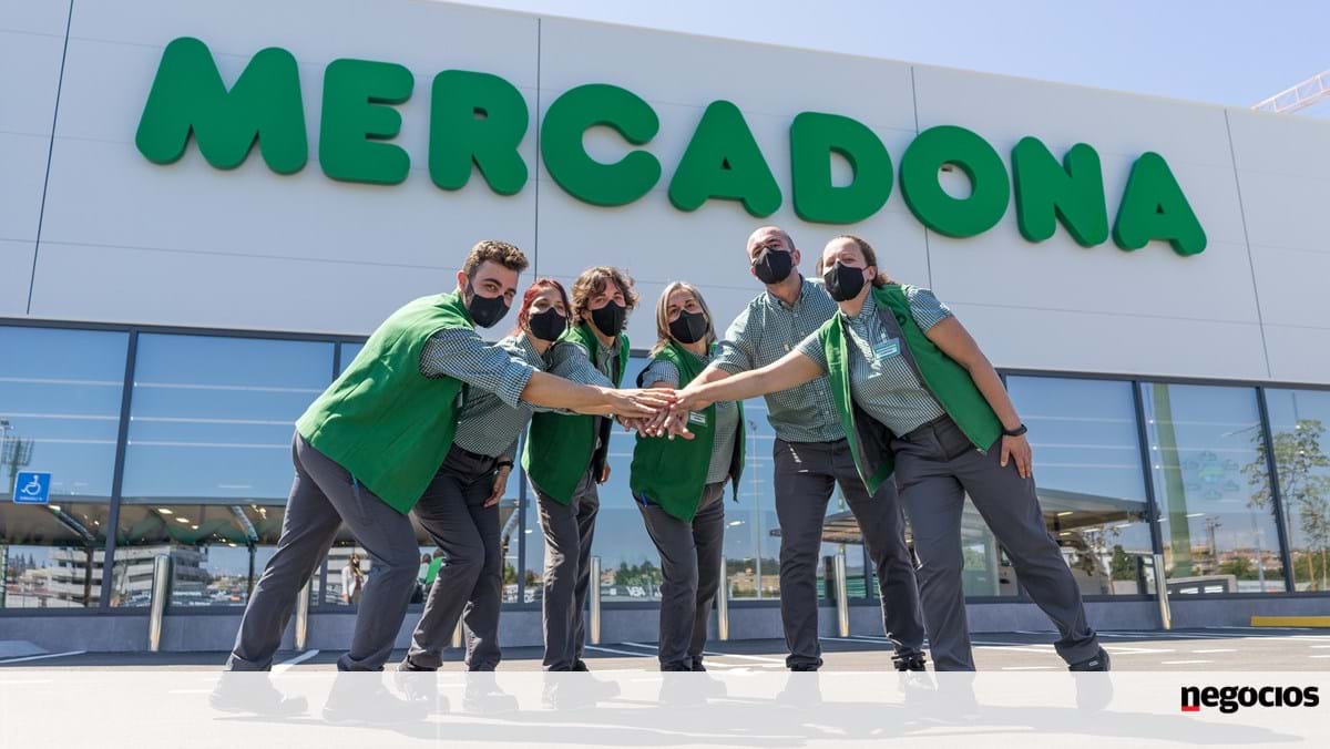 Mercadona offers 65 jobs in Sintra with "attractive salaries" - Comércio