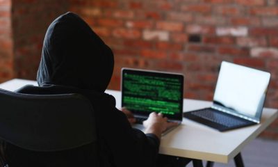 browser passwords malware Redline Stealer segurança