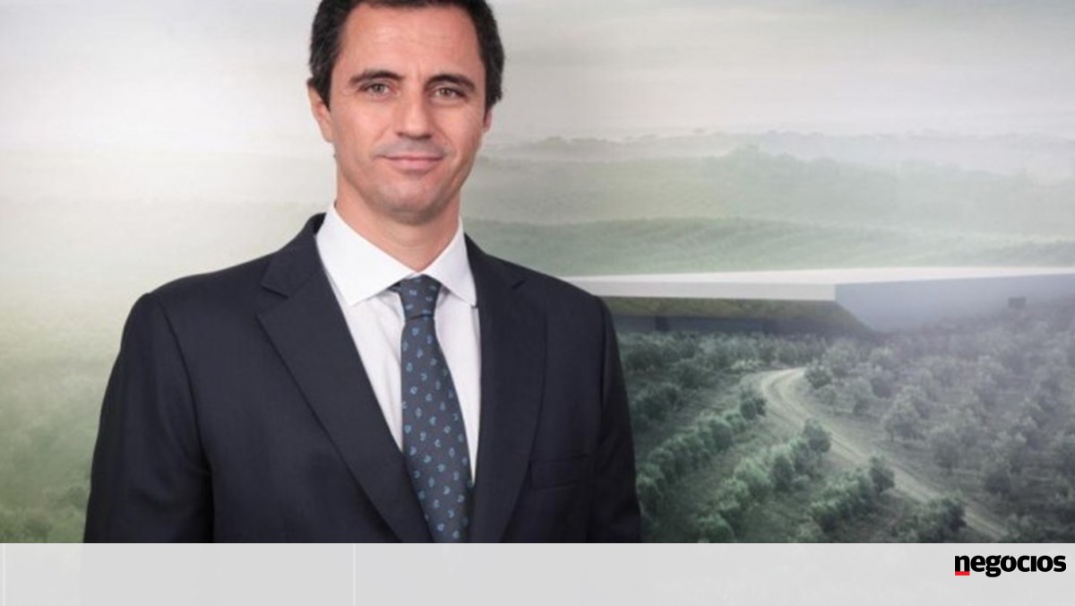 Oliveira da Serra, olive oil owner acquires the company that owns the Salutem brand - Empresas
