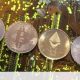 Is Bitcoin expensive?  These Cryptocurrencies May Still Win This Year - Cryptoactives