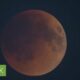 See photos of the Blood Moon during the morning lunar eclipse - Science