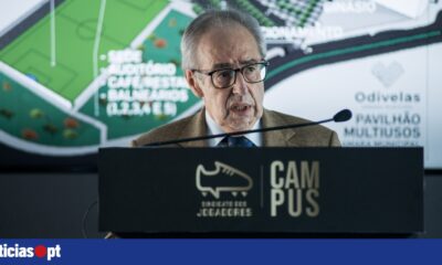 Study points to need for 'structural cultural change' in Portuguese sport - DNOTICIAS.PT