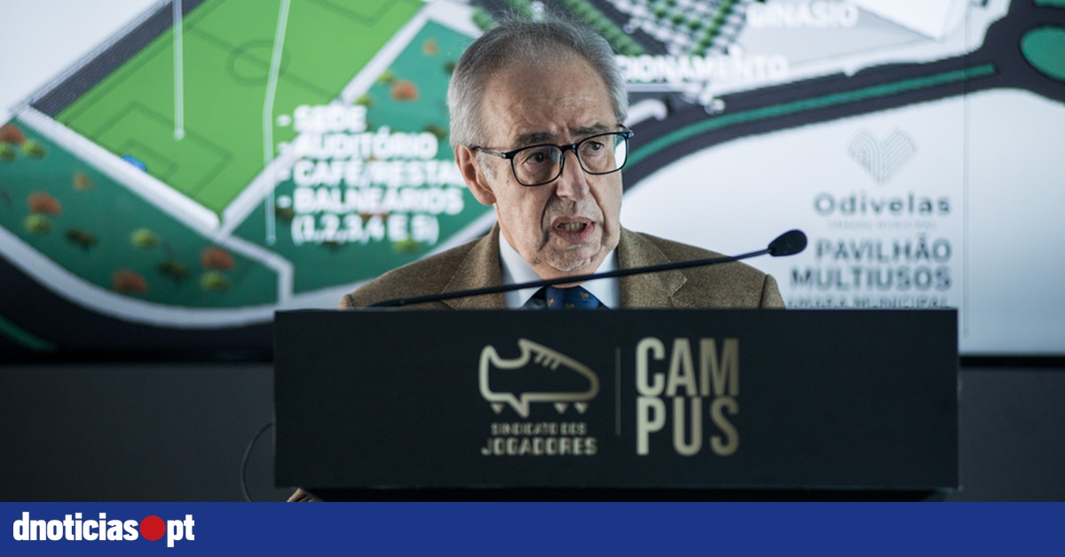 Study points to need for 'structural cultural change' in Portuguese sport - DNOTICIAS.PT