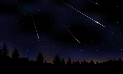 At dawn there will be a meteor shower |  edicase