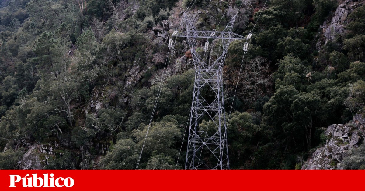 Portugal imported the largest amount of electricity between January and May |  Energy