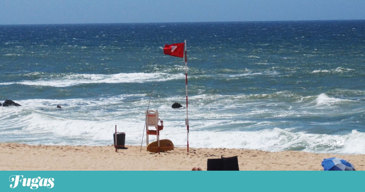 Portugal's ColorADD system arrives on Spanish Blue Flag beaches |  Beaches