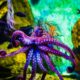 The great intelligence of the octopus and its similarity to the human brain