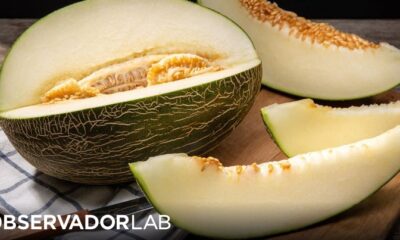 Do you know all kinds of Portuguese melons?  – Observer