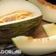 Do you know all kinds of Portuguese melons?  – Observer