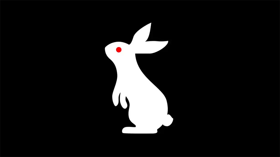 WWE releases more White Rabbit teasers